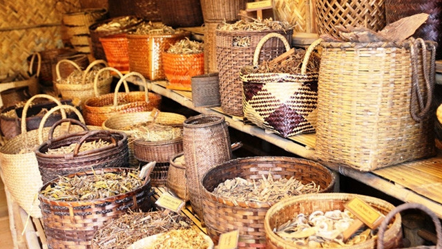 Quelques espèces végétales à la préparation de remèdes naturels présentées au musée. Photo : VOV.