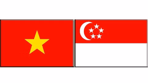 Les drapeaux du Vietnam et de Singapour: NDEL. 
