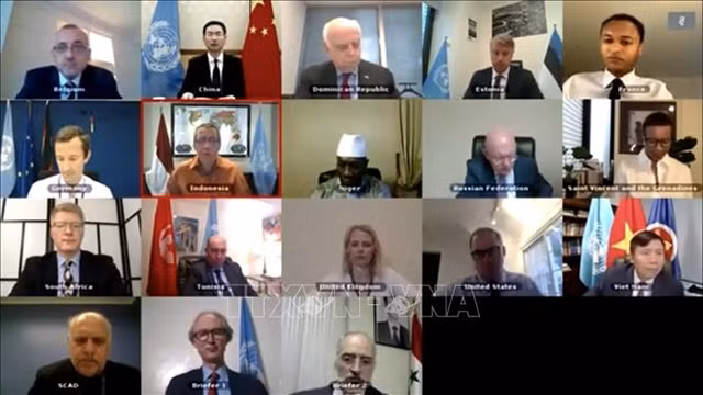 Les ambassadeurs des pays membres du Conseil de Sécurité de l'ONU lors d'une réunion en ligne tenue le 19 août. Photo : VNA.