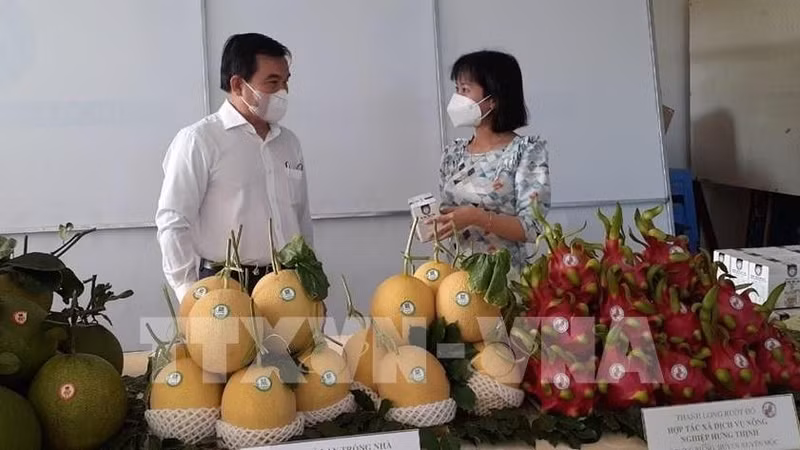 Des produits agricoles de haute technologie de Ba Ria - Vung Tau. Photo: VNA