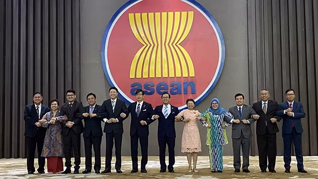 Les représentants des pays membres dans le Comité mixte de coopération ASEAN-Japon (AJJCC). Photo : VNA
