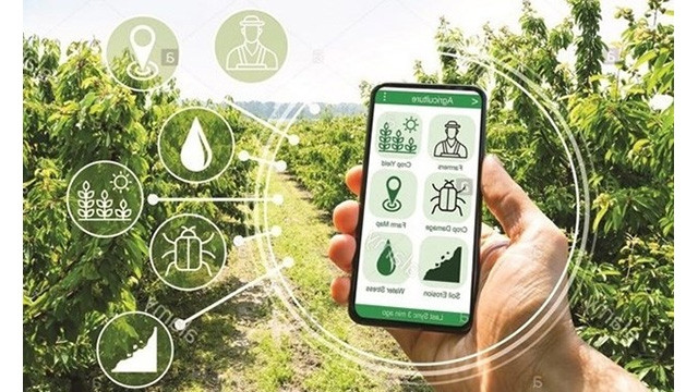 Photo : ministère de l'Agriculture et du Développement rural du Vietnam.