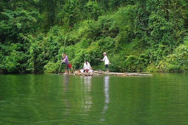 Le parc national de Pù Mat. Photo: zing.vn/VOV.