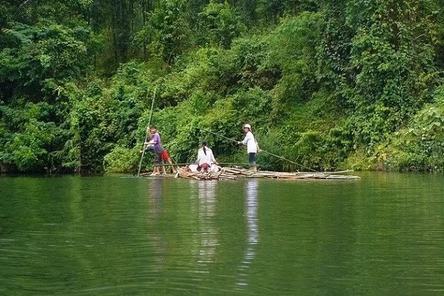 Le parc national de Pù Mat. Photo: zing.vn/VOV.