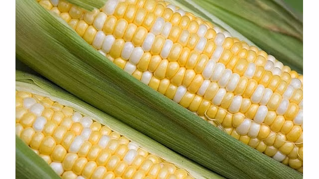 Photo d'illustration: Journal Công Thuong