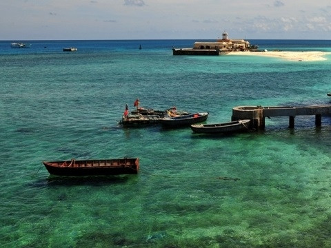 Le récif corallien de l’île de Da Tây, district de Truong Sa, province de Khanh Hoa. Photo: NDEL. 