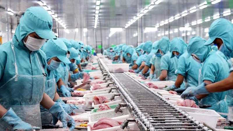 Transformation du pangasius. Photo : vneconomy.vn