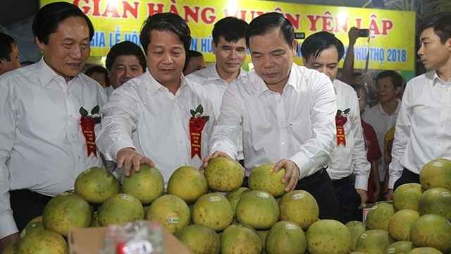 Un stands présentant le pamplemousse Doan Hùng. Photo : NDEL