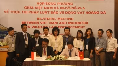 Les représentants de deux pays signent le programme de coopération. Photo: Bao Tôn/NDEL.