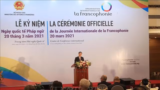 Dang Hoàng Giang, vice-ministre des Affaires étrangères du Vietnam, prend la parole. Photo: VNA