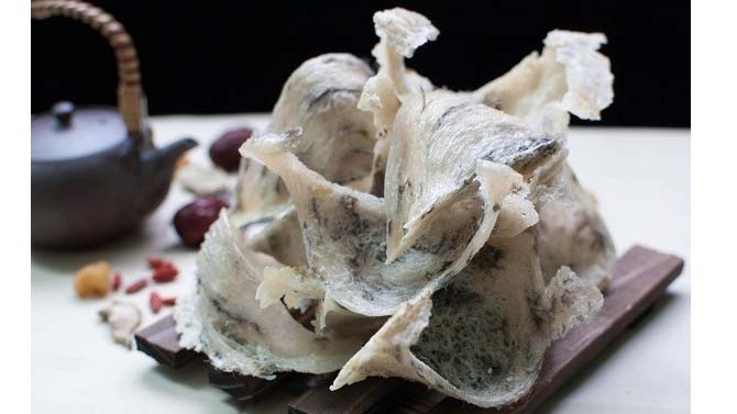 Des nids d'hirondelles. Photo : thoidai.com.vn.