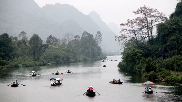 De la fin du mois de mars à avril, les fleurs du bombax ceiba s’épanouissent le long du ruisseau Yên - l’entrée à la pagode Huong, créant un brillant paysage de printemps. Photo: NDEL