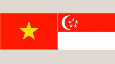 Les drapeau du Vietnam et de Singapour.