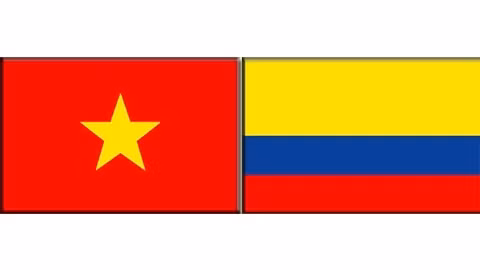 Les drapeaux du Vietnam et de la Colombie.