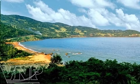 La plage de Con, l'une des plus belles de la péninsule de Son Tra. Photo: VNP.