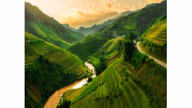 Des rizières en terrasses de Mù Cang Chai. Photo: http://www.thisisinsider.com