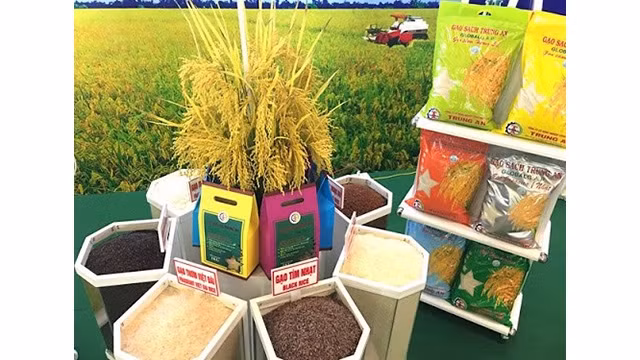 Le prix du riz au Vietnam est le plus élevé des pays exportateurs du riz, dont la Thaïlande, l'Inde, le Pakistan et la Birmanie, notamment la Thaïlande. Photo: http://tapchitaichinh.vn