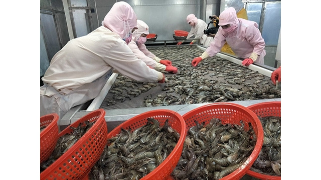 Les exportations de produits de la mer en février 2022 ont continué de croître fortement avec une augmentation de 62 %, avec une valeur estimée à 635 millions de dollars. Photo : congthuong.vn