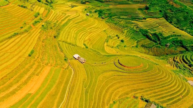 Photo: Dan Tri/baoquocte.vn