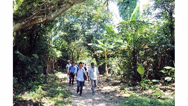Les touristes visitent l'île de Côn Co. Photo : NDEL.