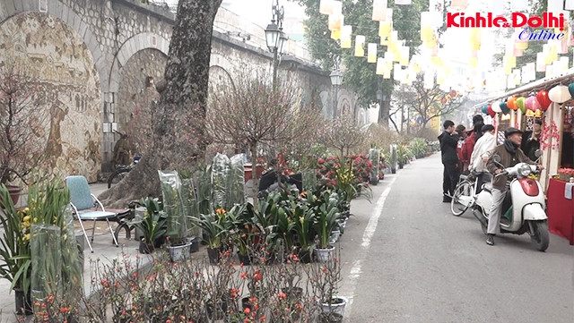 L’ambiance printanière trépidante au marché floral de Hàng Luoc