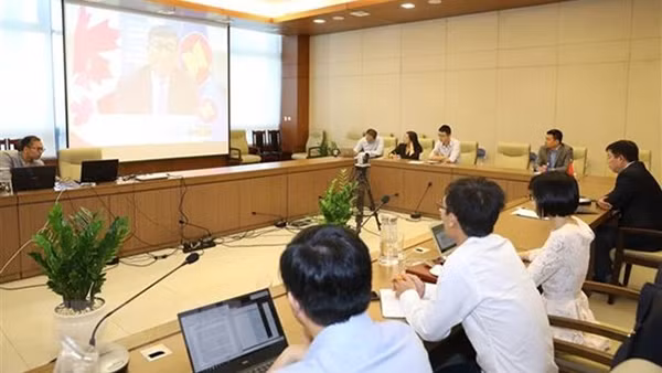 Le 17e dialogue ASEAN-Canada se tient en ligne. Photo : VNA