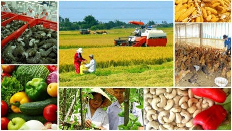 L'ALE entre le Vietnam et l'UEEA créera la grande opportunité pour promouvoir la coopération commerciale. Photo d'illustration: VGP.