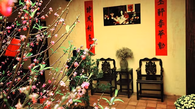 L'espace pour contempler les fleurs et écouter la musique.