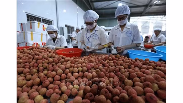 Photo d'illustration : VNA.