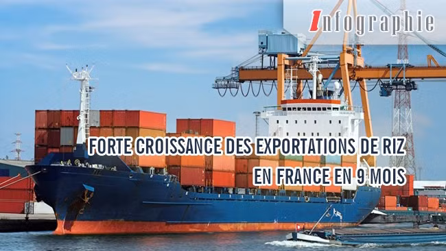 [Infographie] Forte croissance des exportations de riz en France en 9 mois