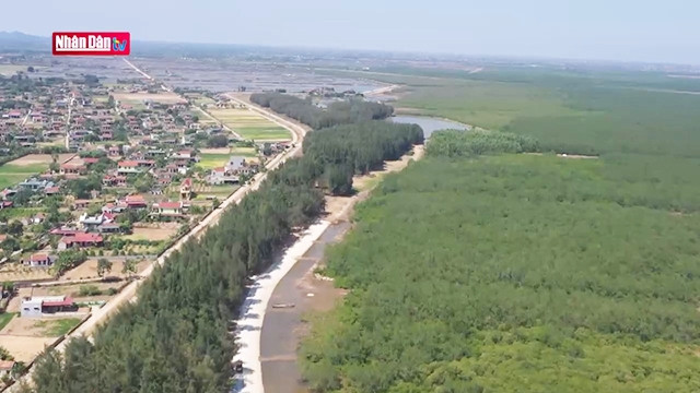 La vie des habitants du district de Hâu Lôc, le long des mangroves