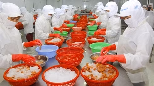 Transformation des produits aquatiques pour l'exportation. Photo: VNA.