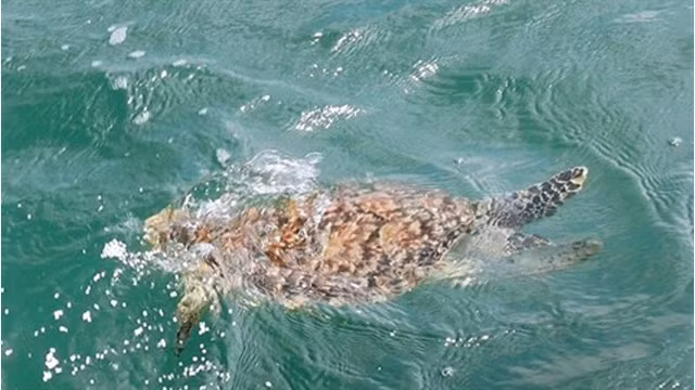 Photo d'illustration : VNA.