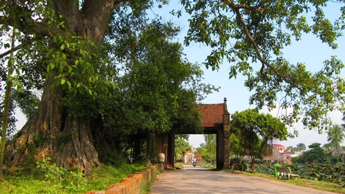 L'ancien village de Duong Lâm. Photo : hanoimoi.com.vn.