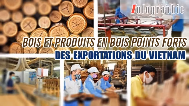 [Infographie] Bois et produits en bois points forts des exportations du Vietnam