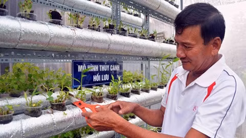 M.Ngô Van Hai (à Cù Lao Chàm) qui pratique l’hydro-culture des légumes.