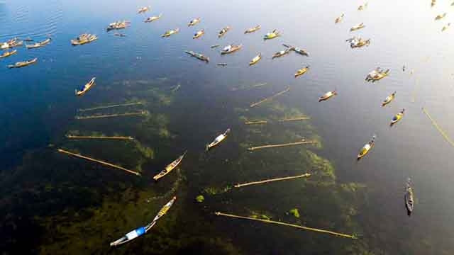 Le marais de Quang Loi de la commune éponyme, district de Quang Diên, dans la province de Thua Thiên-Huê. Photo : VOV.