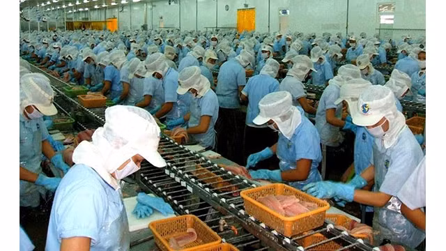  Le Vietnam aura plus d’opportunités d'exporter des crevettes après la pandémie de Covid-19. Photo d'illustration. VOV.