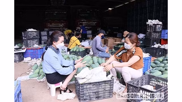 Photo d'illustration : VNA.