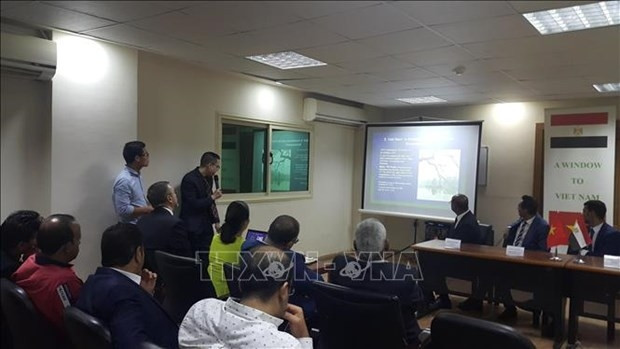 Séminaire sur les opportunités de promotion de la coopération en matière d'économie, d'investissement et de développement entre le Vietnam et l'Egypte. Photo : VNA.