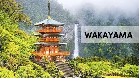 Un coin de la préfecture japonaise de Wakayama. Photo : VNA.