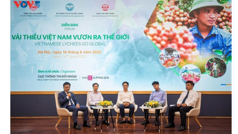 Forum sur l’exportation du litchi vietnamien. Photo : VOV.