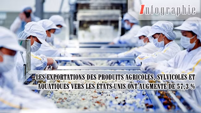 [Infographie] Les exportations des produits agricoles, sylvicoles et aquatiques vers les États-Unis ont augmenté de 57,3 %