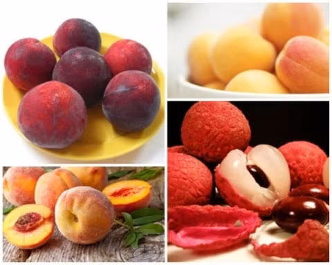 Les prduits aigres comme prunes, litchis sont des plats traditionnels pendant le Têt Doan Ngo. Photo: tintuconline.com.vn.