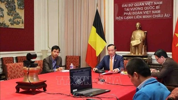 Lors du webinaire "Binh Duong, porte d’entrée vers l'Asie du Sud-Est". Photo : VNA