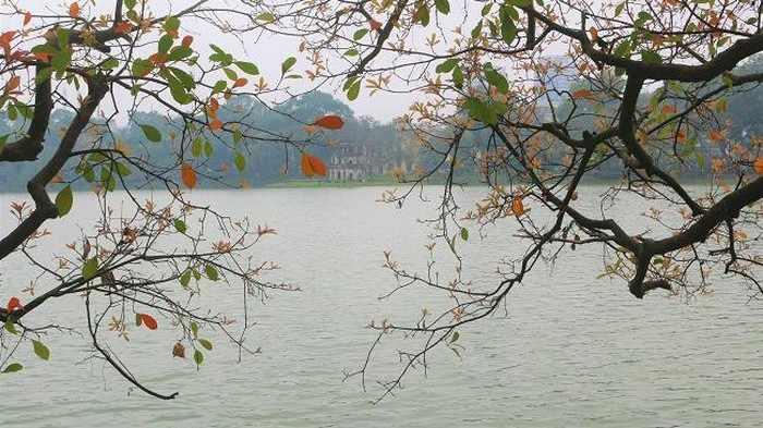 Photo : Theleader.vn