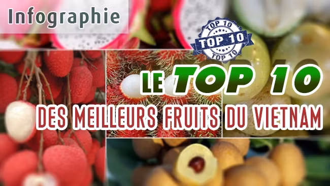 [Infographie] Le Top 10 des meilleurs fruits du Vietnam
