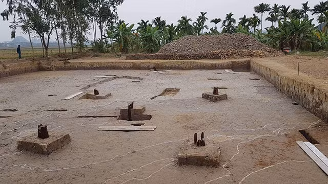 Un terrain de pieu trouvé dans la commune de Liên Khê, district de Thuy Nguyên, ville de Hai Phong (au Nord-Est). Photo : NDEL.