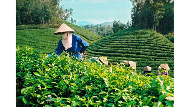 Photo d'illustration : congthuong.vn
