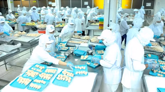 La transformation des produits alimentaires à une usine du groupe CJ à Hô Chi Minh-Ville. Photo : https://www.sggp.org.vn